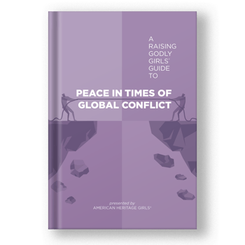 Peace in Global Conflict E-Book Mockup